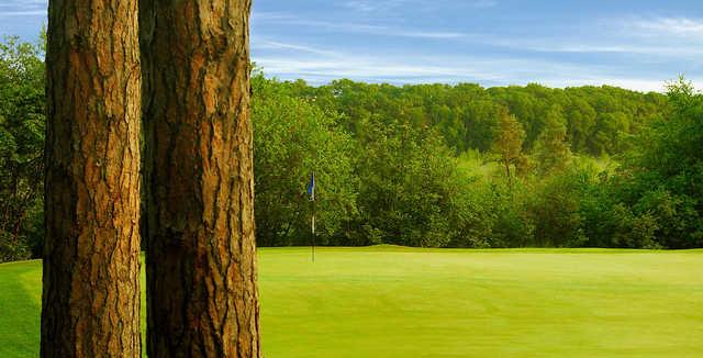 The Pines At Grand View Lodge - photo 1