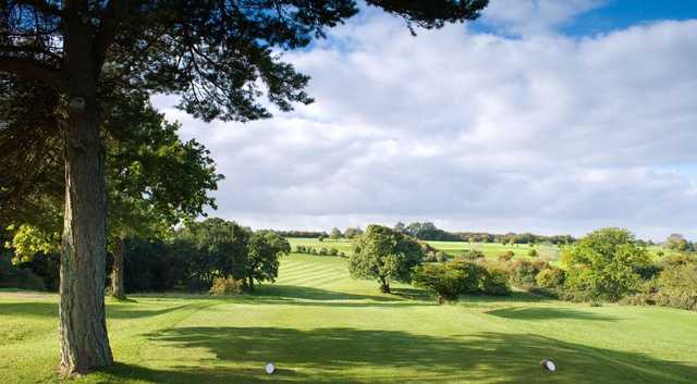 Tall Pines Golf Club - photo 6