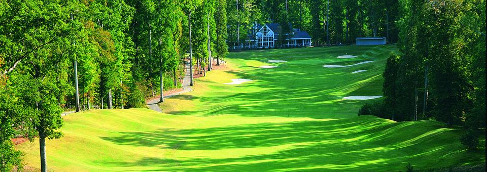 Green Course at The Golden Horseshoe - photo 4