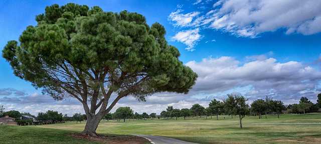 Green Tree Country Club - photo 5