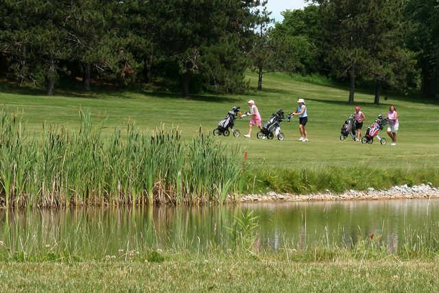 Kwiniaska Golf Club - photo 3