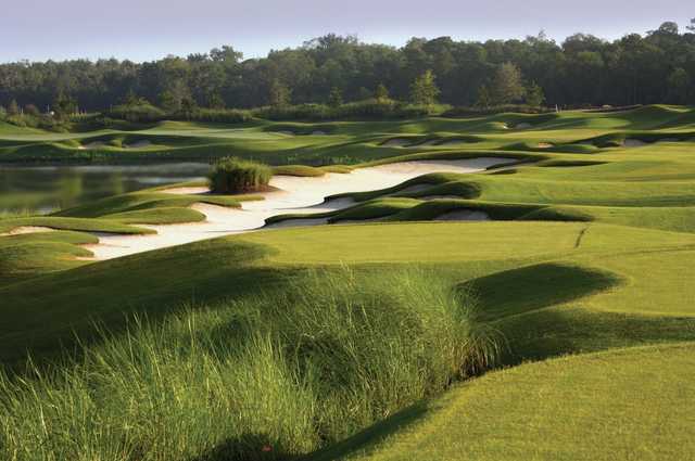 Hammock Beach - Conservatory Course - photo 3