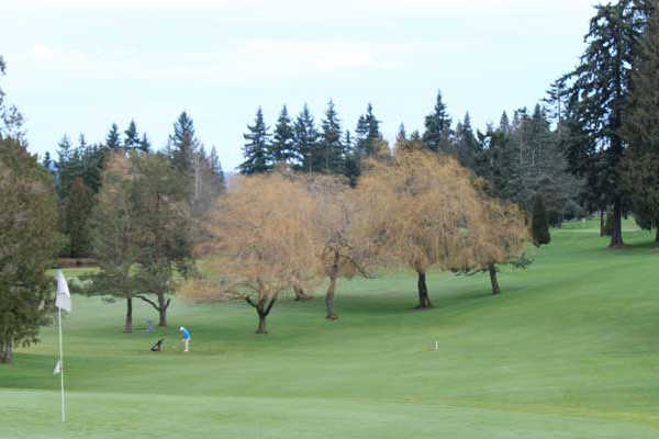 Tam O Shanter Golf & Country Club - photo 6