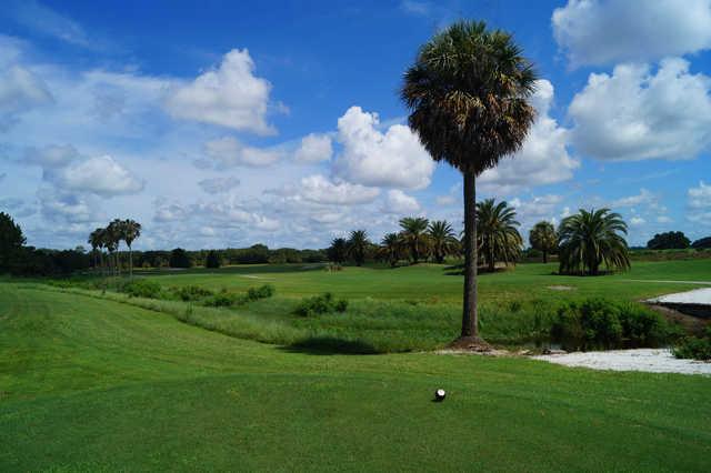 White Heron Golf Club - photo 6