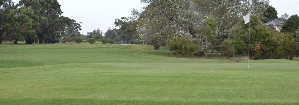 Rossdale Golf Club - photo 8