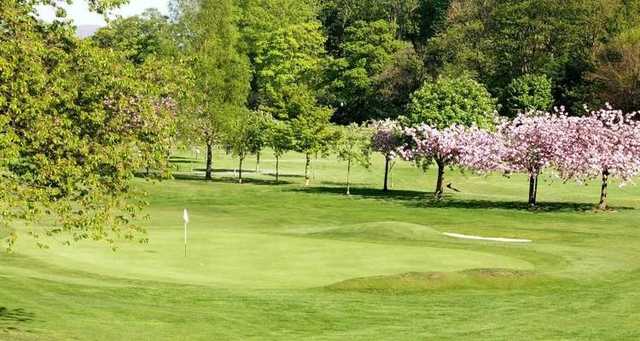 Murrayfield Golf Club - photo 6