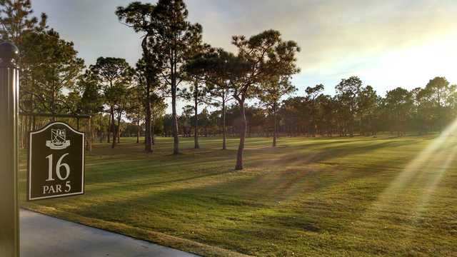 Rio Pinar Golf Club - photo 2