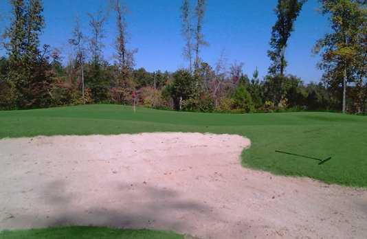 The Links at Southwind Country Club - photo 6