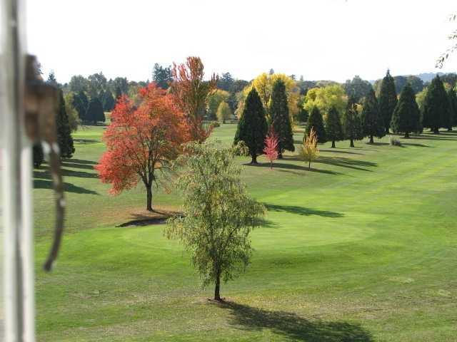 The Nines Golf Course - photo 2