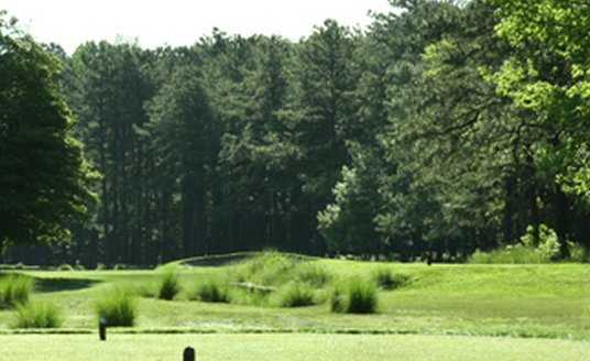 The Links Golf Club - photo 3