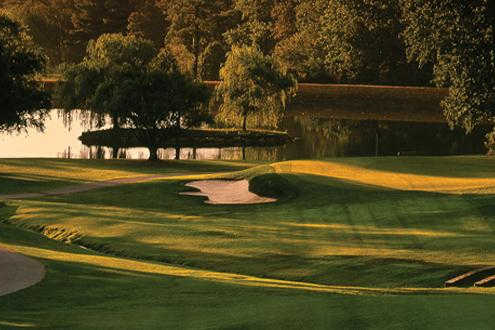 Hendersonville Country Club - photo 3