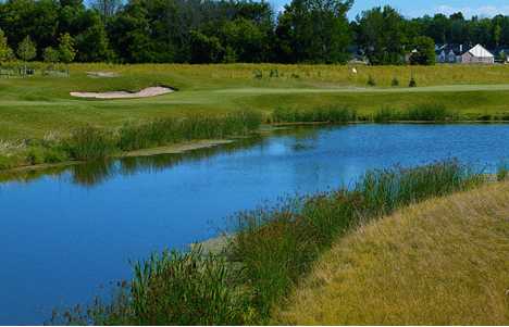 Pheasant Run Golf Club - photo 8