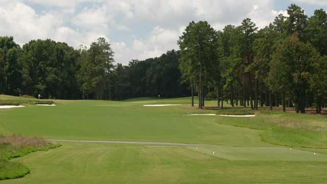 Forest Oaks