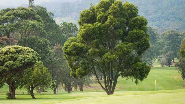 Bega Country Club - photo 2