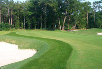 The Aiken Golf Club - photo 2