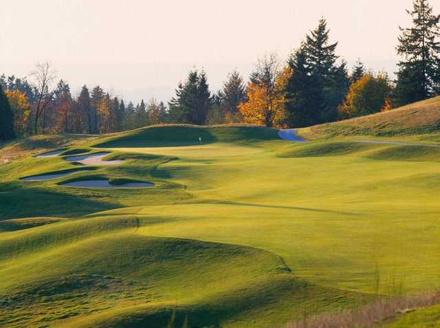 The Golf Club At Newcastle - photo 5