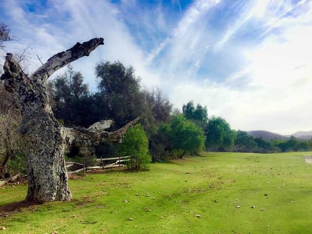 Cottonwood Golf Club - Ivanhoe - photo 2