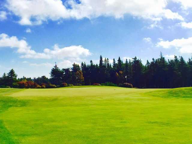 Clovelly Golf Club - Black Duck - photo 2