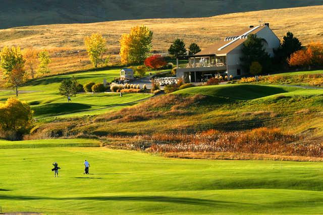 The Meadows Golf Club