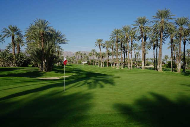 The Palms Golf Club