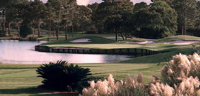 Sawgrass Country Club - photo 5