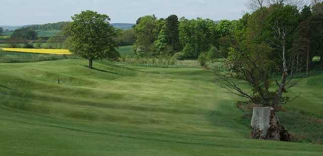 Headlam Hall Country Hotel & Spa - photo 3