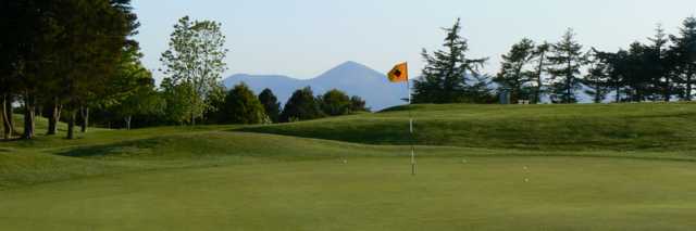 St. Patrick's Golf Club, Downpatrick - photo 5