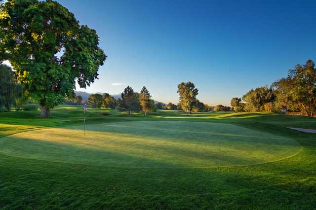 Forest Dale Golf Club - photo 2