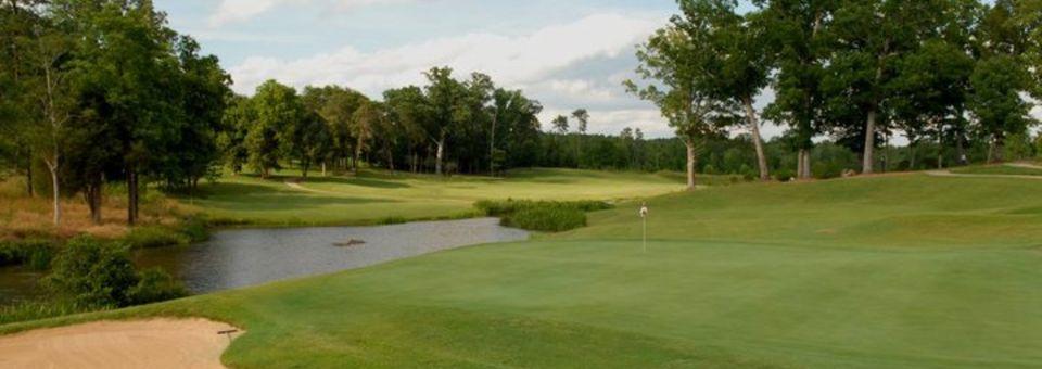 The Challenge Golf Club - photo 6