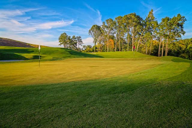 Bobby Jones Golf Course - photo 4