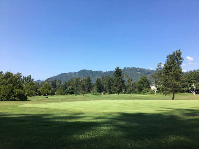 Cheam Mountain Golf Course - photo 2