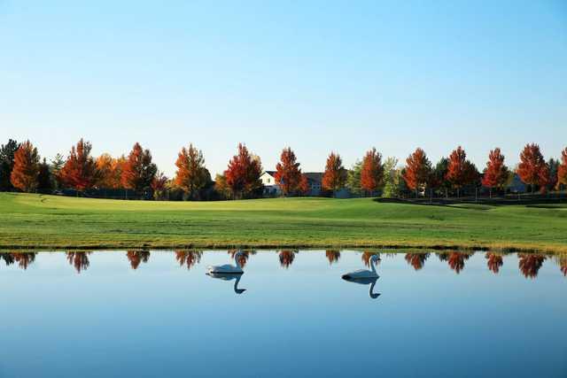Meadow Wood Golf Course - photo 2