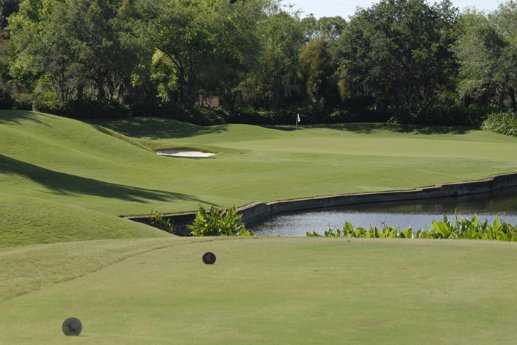 The Club at Pelican Bay - photo 4