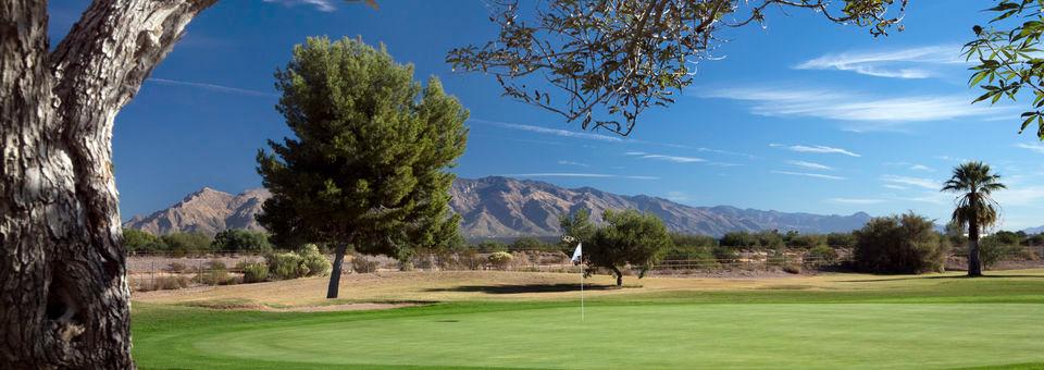 Silverbell Golf Course - photo 5