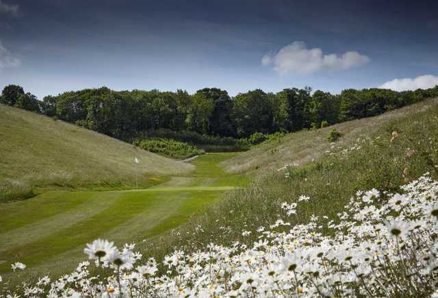 Royston Golf Club - photo 5