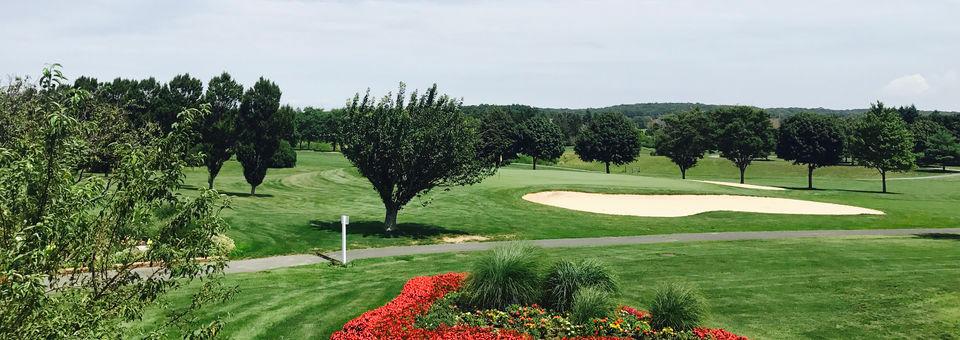 Cherry Creek Golf Links - photo 6