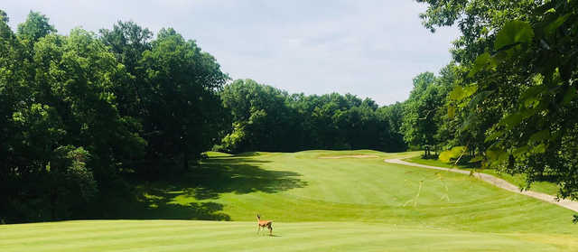 Eagle Creek Golf Course - photo 2
