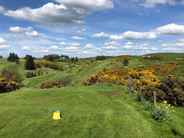 Beith Golf Club - photo 3