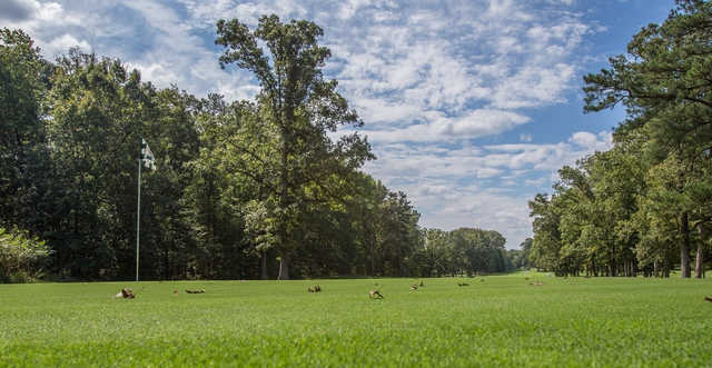 Richmond Country Club - photo 2