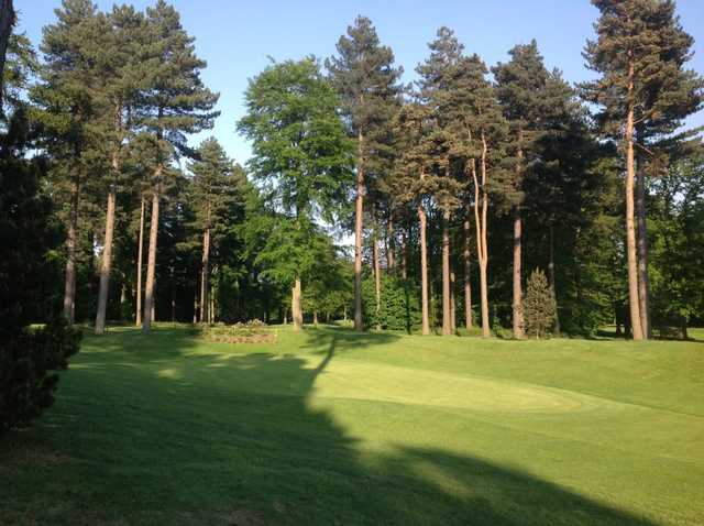 Forest Pines Hotel, Spa & Golf Resort - Forest Course - photo 2
