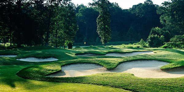 Forest Greens Golf Club - photo 5