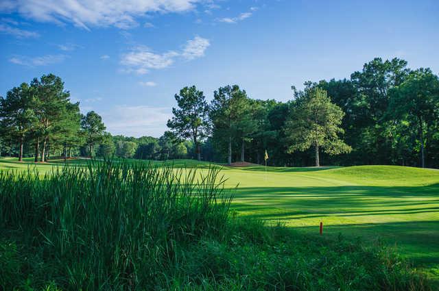 RiverPines Golf Course - photo 3