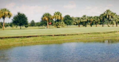 Silver Dollar Golf Club - photo 3