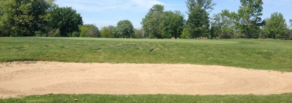 Arlington Greens Golf Course - photo 3