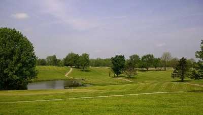 Vineyard - photo 3