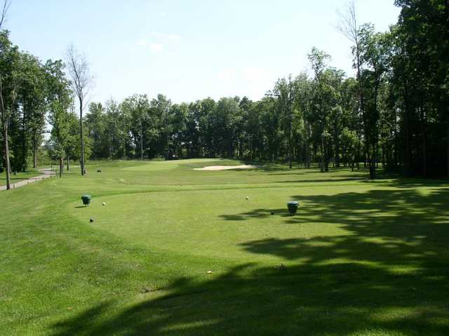 Legacy - photo 2