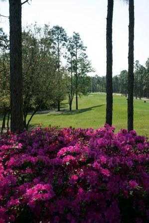 Members Club At St. James Plantation - photo 3