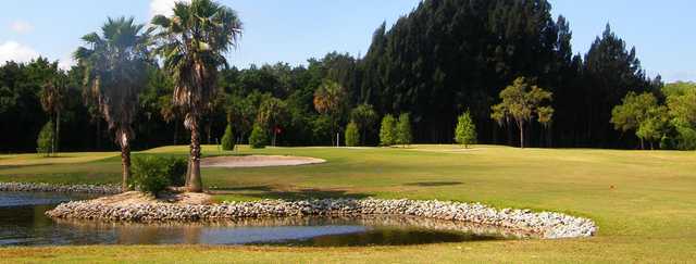 Tarpon Springs Golf Course - photo 2
