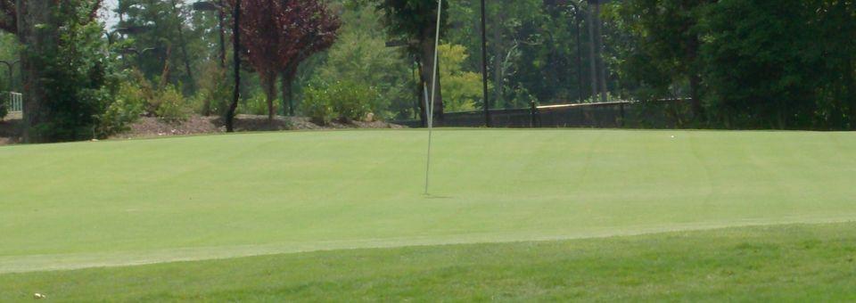 Westport Golf Club - photo 5