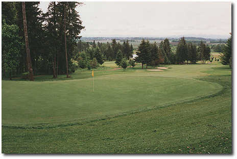 Diamond Woods - photo 4